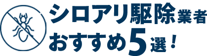 おすすめのシロアリ駆除業者