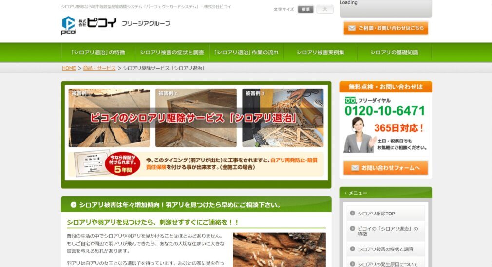 ピコイの画像