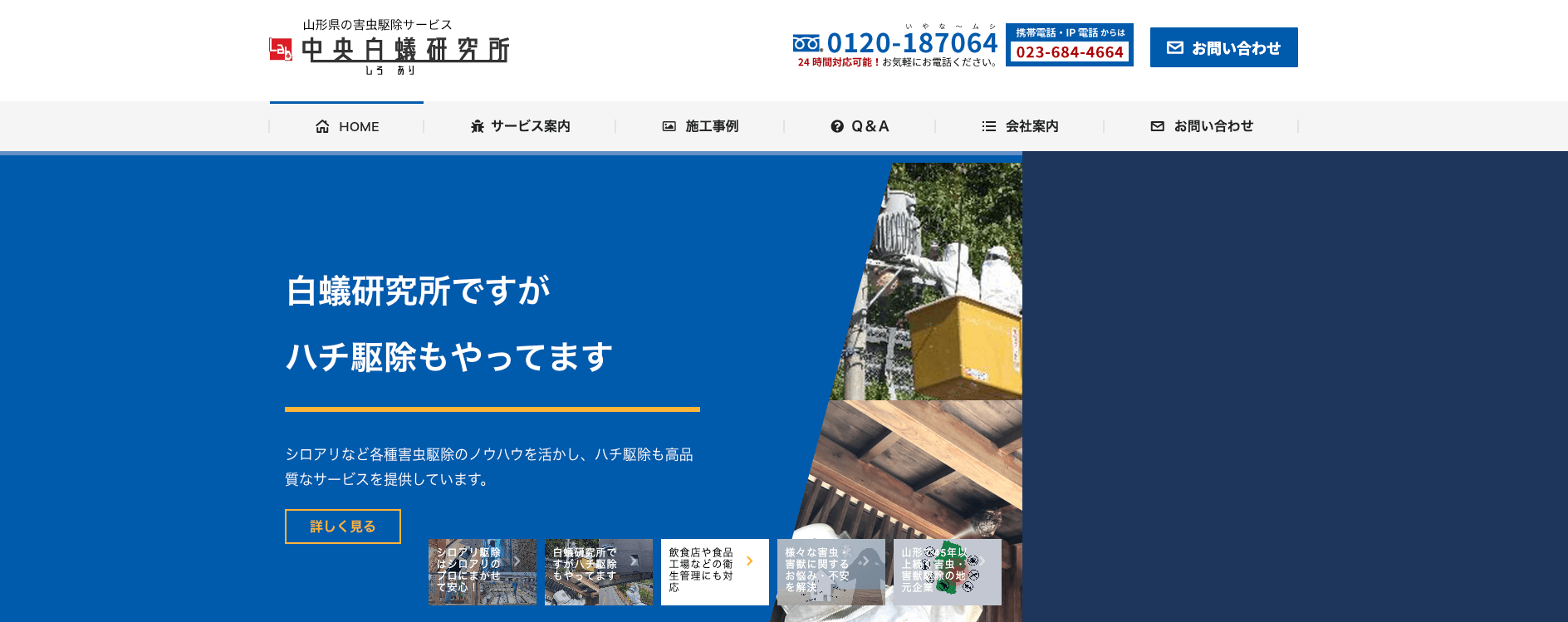 中央白蟻研究所の画像